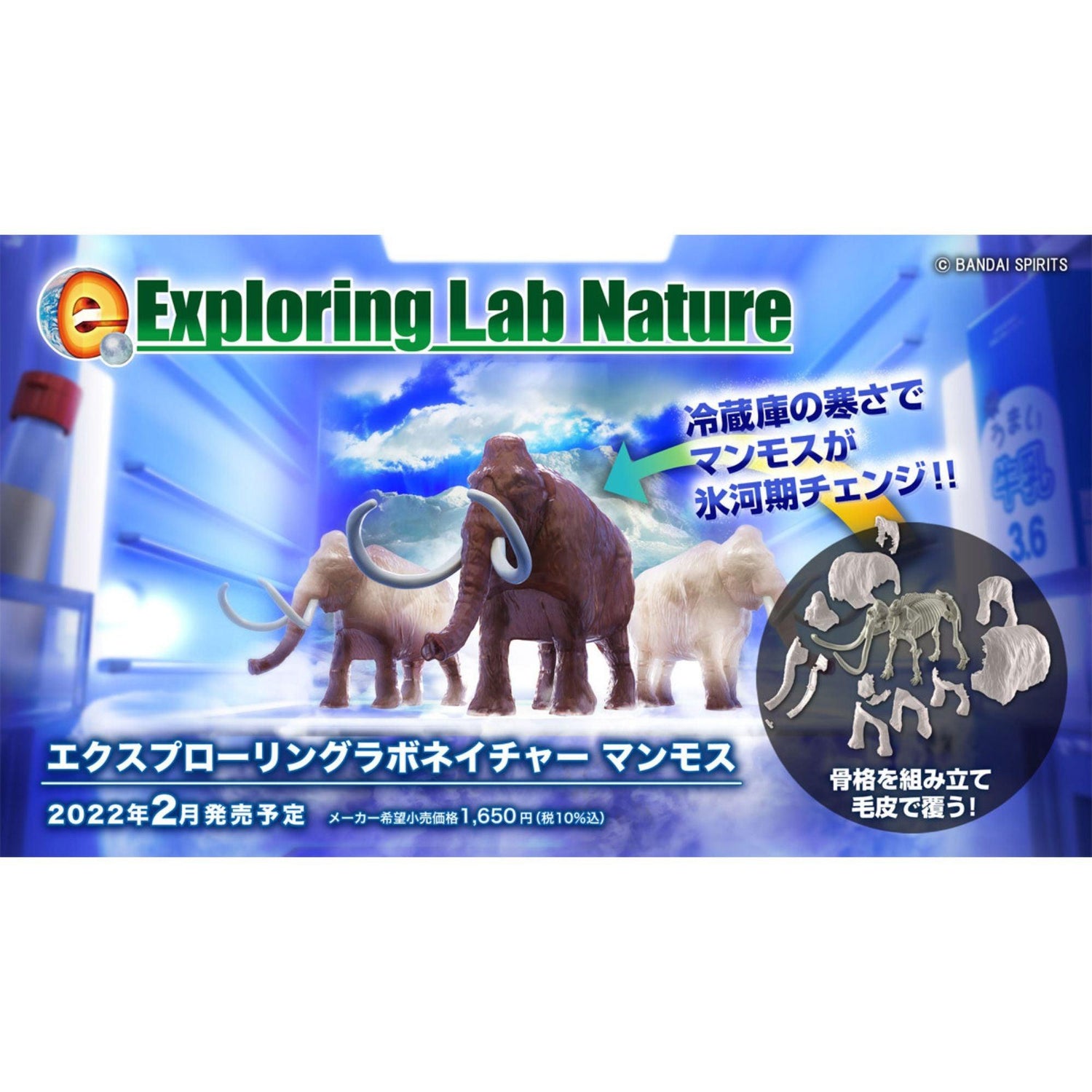 Exploring Labo Nature - Show Me What You Bot