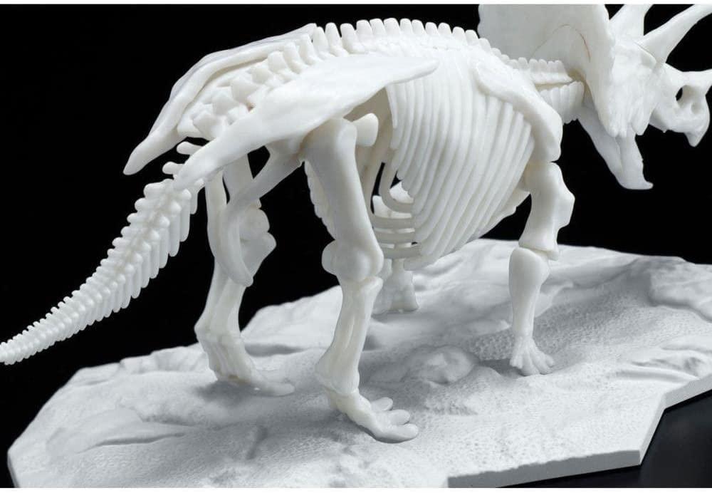 Limex - 1/35 Skeleton - Triceratops