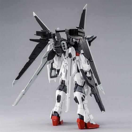 MG 1/100 Ex Impulse Gundam [PREMIUM BANDAI] - Show Me What You Bot