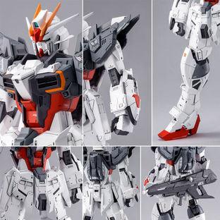 MG 1/100 Ex Impulse Gundam [PREMIUM BANDAI] - Show Me What You Bot