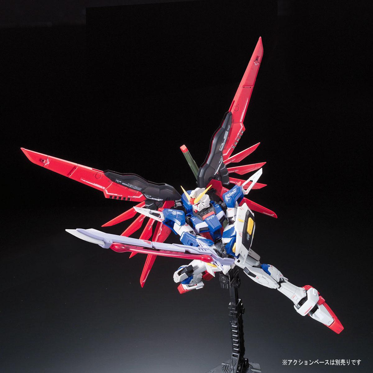 RG 1/144 #11 Destiny Gundam