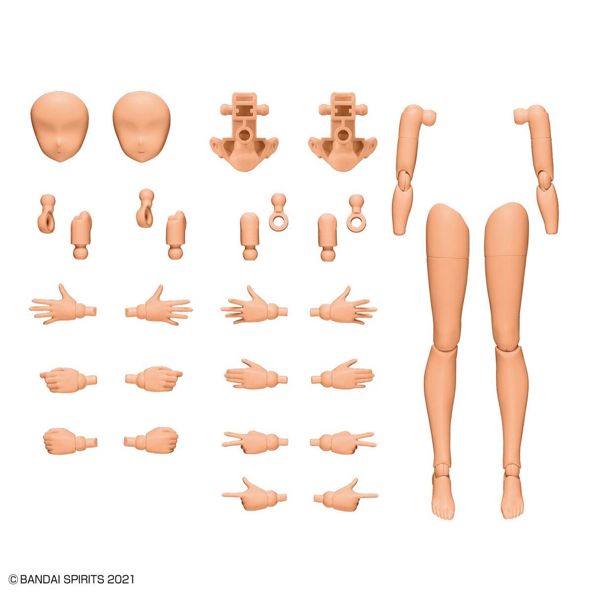 30MS - Option Body Parts Arms & Legs Parts [Color C] [2022]