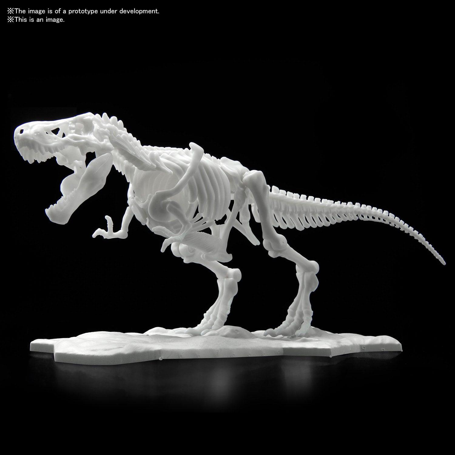 Dinosaur Model Kit Limex Skeleton - Tyrannosaurus [2021] - Show Me What You Bot