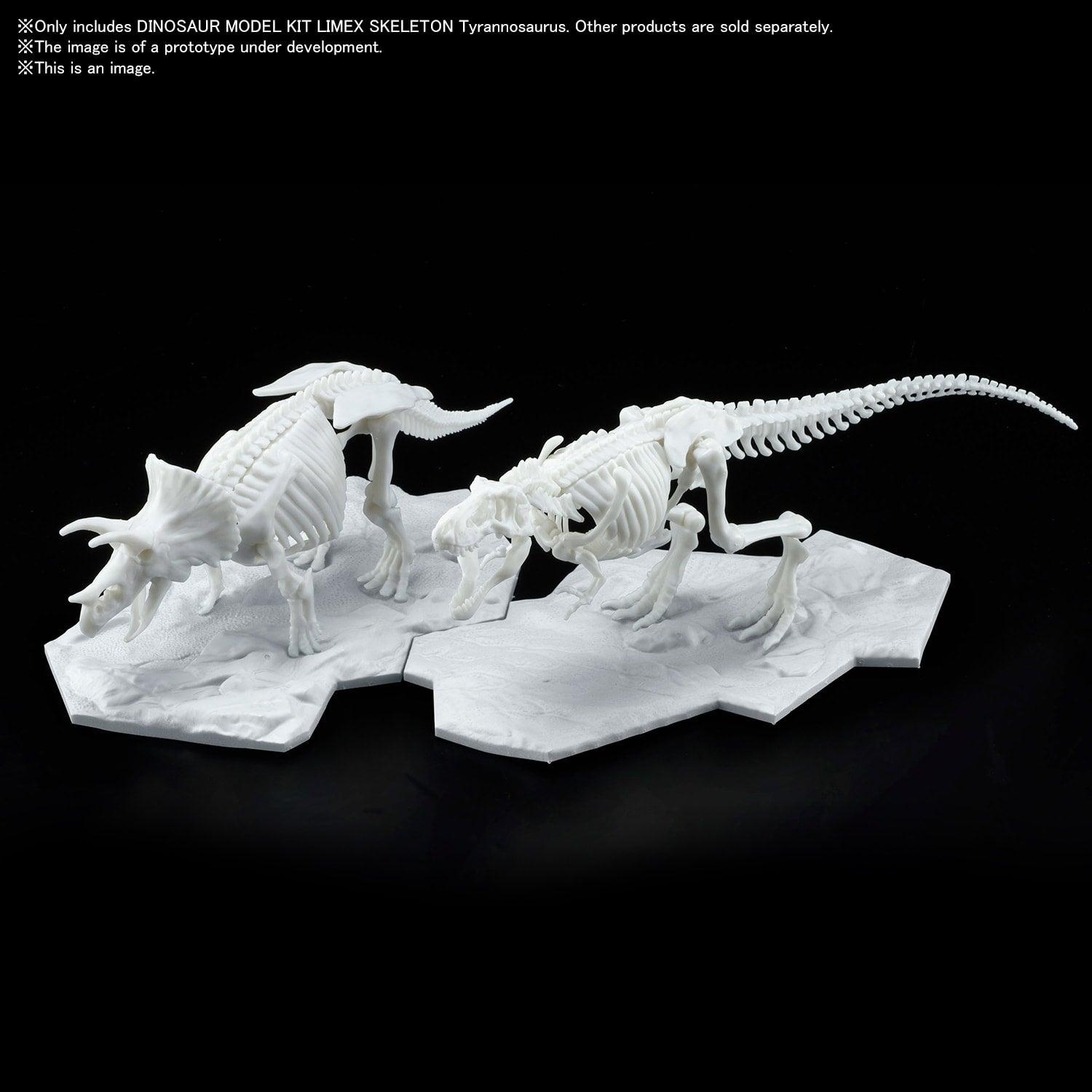 Dinosaur Model Kit Limex Skeleton - Tyrannosaurus [2021] - Show Me What You Bot