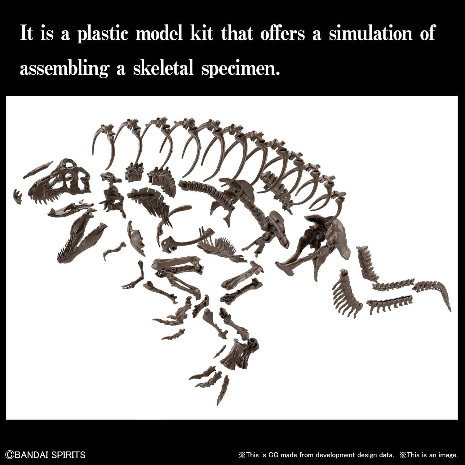 1/32 Imaginary Skeleton Tyrannosaurus [2021] - Show Me What You Bot