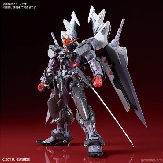 1/100 HiRM Gundam Astray Noir - Show Me What You Bot