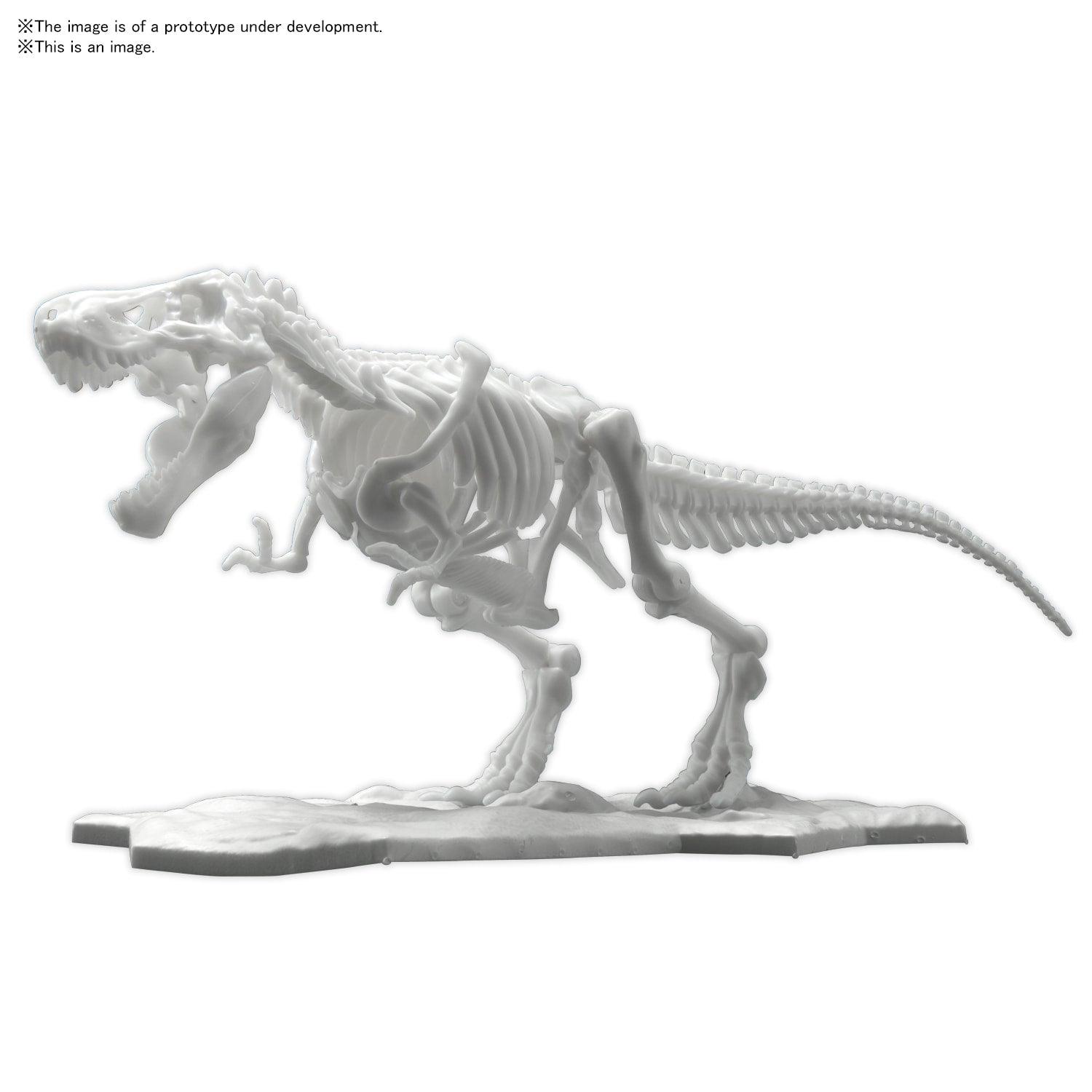 Dinosaur Model Kit Limex Skeleton - Tyrannosaurus [2021] - Show Me What You Bot