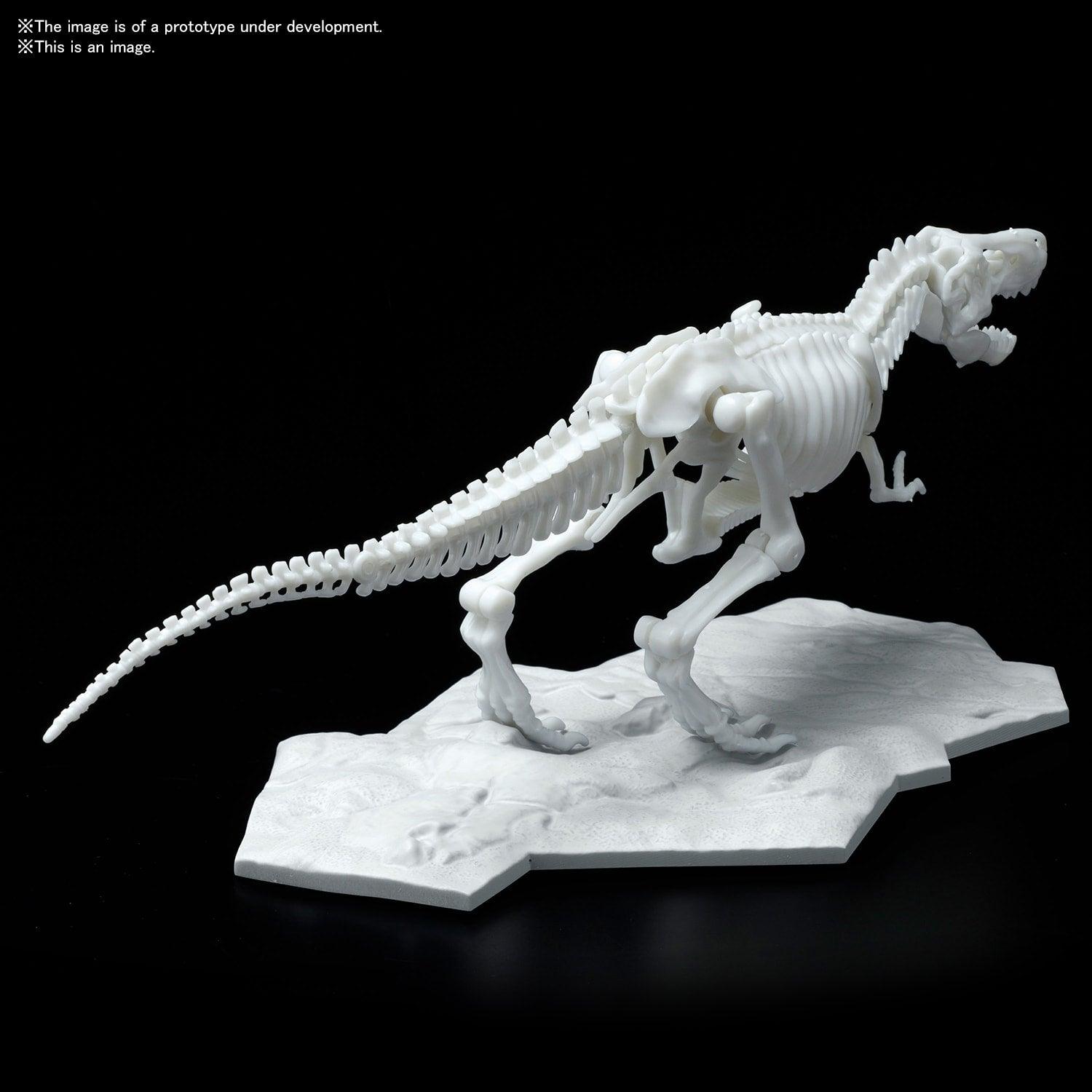 Dinosaur Model Kit Limex Skeleton - Tyrannosaurus [2021] - Show Me What You Bot