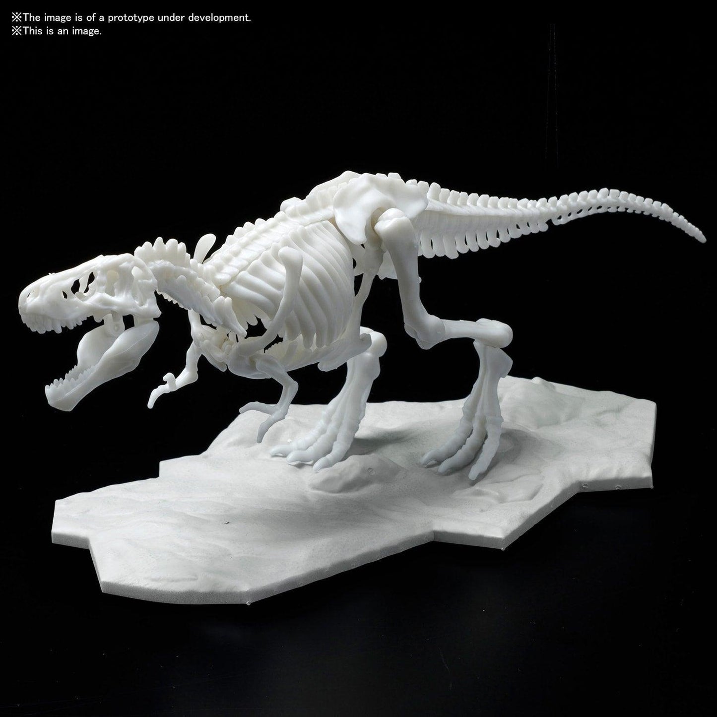 Dinosaur Model Kit Limex Skeleton - Tyrannosaurus [2021] - Show Me What You Bot