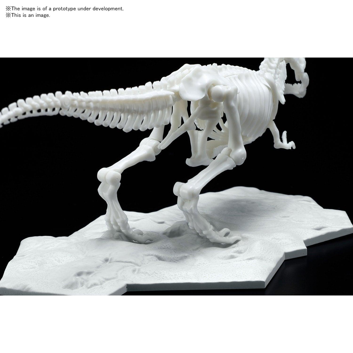 Dinosaur Model Kit Limex Skeleton - Tyrannosaurus [2021] - Show Me What You Bot