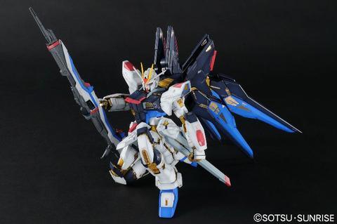 PG 1/60 Strike Freedom Gundam - Show Me What You Bot